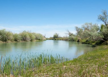 Bozkır nehir sazlık yaz. nehir görünümünde kez izlendi. küçük mavi nehir kıyısında güneşli bir gün