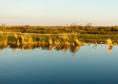 Güzel gökyüzü altında küçük bir göl. akşam olay yerinde bozkır, yatay, bozkır güzel yaz gün bataklıkta gölde. Göl sahnesinde yaz