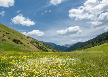 dağ, dağ, tepe