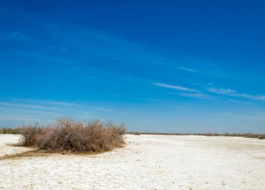 Saline, tuz bataklığı