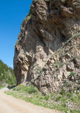 dağ, dağ, tepe. Kazakistan. Tien Shan. Takma Yaylası