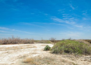 tuzlu su, tuz bataklığı. Etkin badlands. Tek çalı. Kazakistan