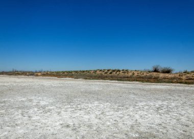 tuzlu su, tuz bataklığı. Etkin badlands. Tek çalı. Kazakistan