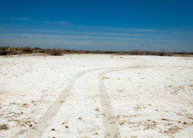 tuzlu su, tuz bataklığı. Etkin badlands. Tek çalı. Kazakistan