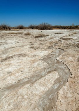 tuzlu su, tuz bataklığı. Etkin badlands. Tek çalı. Kazakistan