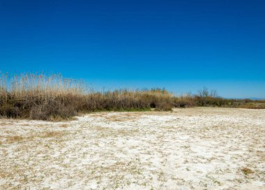 tuzlu su, tuz bataklığı. Etkin badlands. Tek çalı. Kazakistan