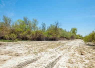 tuzlu su, tuz bataklığı. Etkin badlands. Tek çalı. Kazakistan