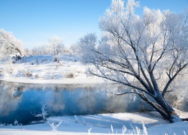 kış, kış-gelgit, kış zamanı, hibernate, o yılın en soğuk sezon