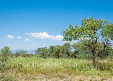  Bozkır yaz. Turgai kapısı. Turgai Kaydet. Milli Parkı 
