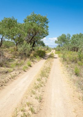  Bozkır yaz. Turgai kapısı. Turgai Kaydet. Milli Parkı 