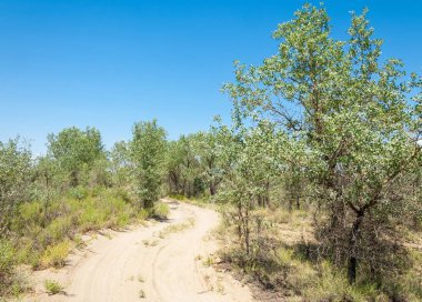  Bozkır yaz. Turgai kapısı. Turgai Kaydet. Milli Parkı 
