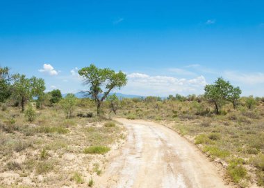 Bozkır yaz. Turgai Kaydet. Çölde Gölü