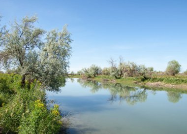 Bozkır nehir sazlık yaz. nehir görünümünde kez izlendi. küçük mavi nehir kıyısında güneşli bir gün