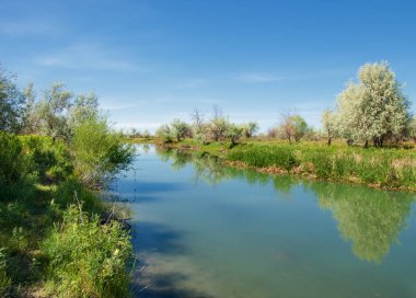 Bozkır nehir sazlık yaz. nehir görünümünde kez izlendi. küçük mavi nehir kıyısında güneşli bir gün