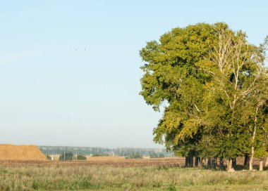Yaz aylarında taze sürülmüş alan, saman yığınları, kavak