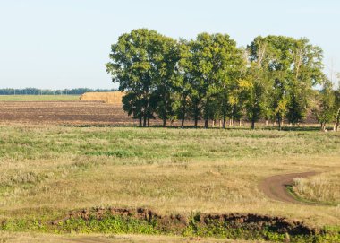 Yaz aylarında taze sürülmüş alan, saman yığınları, kavak