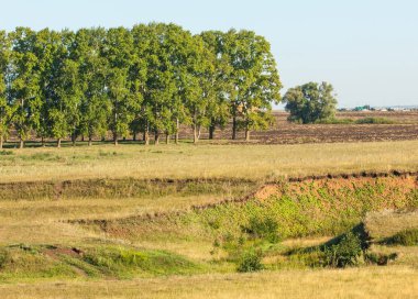 Yaz aylarında taze sürülmüş alan, saman yığınları, kavak