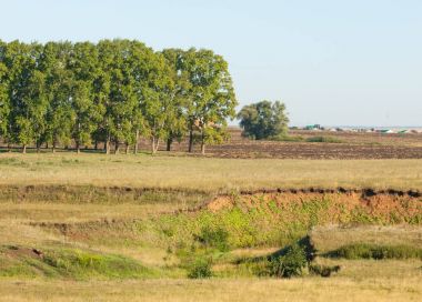 Yaz aylarında taze sürülmüş alan, saman yığınları, kavak