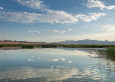  Bozkır yaz. Turgai kapısı. Turgai Kaydet. Milli Parkı 