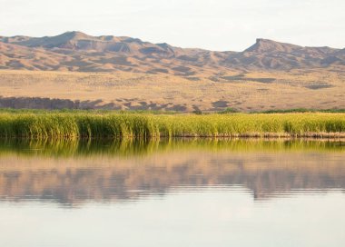  Bozkır yaz. Turgai kapısı. Turgai Kaydet. Milli Parkı 