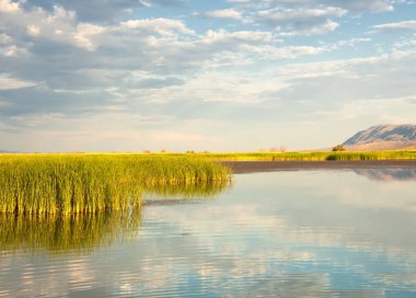 Bozkır yaz. Turgai Kaydet. Çölde Gölü