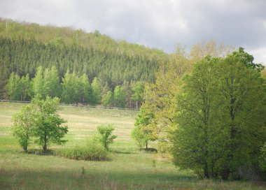 Vezi de mongolă pustie zona - înflorire Lunca şi zada lemn - sayan munte - gorhi-terelj national park - Parcul mongolianational - mongolia