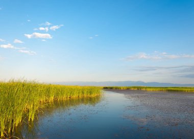  Bozkır yaz. Turgai kapısı. Turgai Kaydet. Milli Parkı 