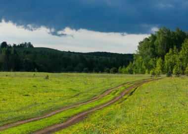 Bahar ağaç günbatımı