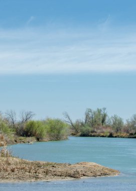 Bozkır nehir sazlık yaz. nehir görünümünde kez izlendi. küçük mavi nehir kıyısında güneşli bir gün
