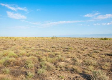  Bozkır yaz. Turgai kapısı. Turgai Kaydet. Milli Parkı 