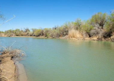 Bozkır nehir sazlık yaz. nehir görünümünde kez izlendi. küçük mavi nehir kıyısında güneşli bir gün