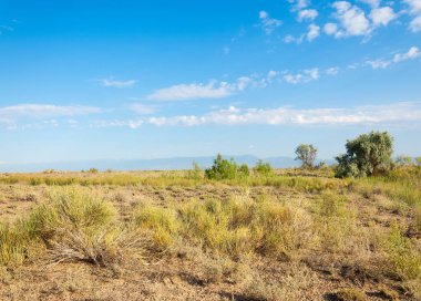  Bozkır yaz. Turgai kapısı. Turgai Kaydet. Milli Parkı 