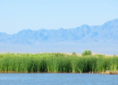 Bozkır yaz. Turgai Kaydet. Çölde Gölü