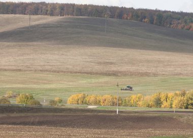 Karayolu. parlak sonbahar ağaçlar. Yol, altın zaman yılın parçası
