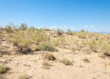 Bozkır yaz. Turgai kapısı. Turgai Kaydet. Milli Parkı 