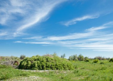 Bozkır, çayır, veldt, veld, taşkın. Kazakistan bozkırlarında güzel doğada