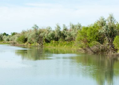 Bozkır nehir sazlık yaz. nehir görünümünde kez izlendi. küçük mavi nehir kıyısında güneşli bir gün
