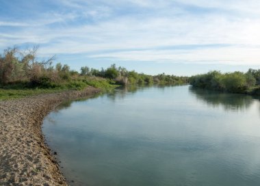 Bozkır nehir sazlık yaz. nehir görünümünde kez izlendi. küçük mavi nehir kıyısında güneşli bir gün