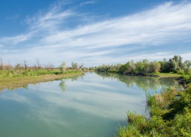 Bozkır nehir sazlık yaz. nehir görünümünde kez izlendi. küçük mavi nehir kıyısında güneşli bir gün