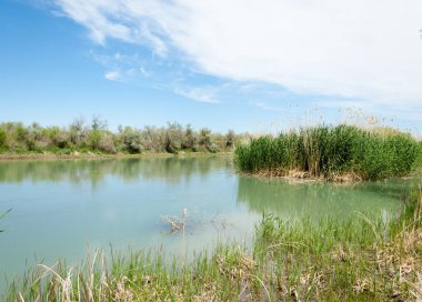 Bozkır nehir sazlık yaz. nehir görünümünde kez izlendi. küçük mavi nehir kıyısında güneşli bir gün