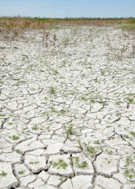Bozkır tuzlu topraklar. tuz tuz tuz. Bozkır çayır veldt veld. Tuzlu toprak çöl, tuzlu Göller. cansız yanıp kavrulmuş dünyamız. Kazakistan çıplak bozkır