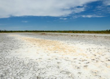 Bozkır tuzlu topraklar. tuz tuz tuz. Bozkır çayır veldt veld. Tuzlu toprak çöl, tuzlu Göller. cansız yanıp kavrulmuş dünyamız. Kazakistan çıplak bozkır