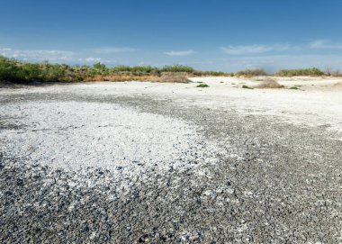 Bozkır tuzlu topraklar. tuz tuz tuz. Bozkır çayır veldt veld. Tuzlu toprak çöl, tuzlu Göller. cansız yanıp kavrulmuş dünyamız. Kazakistan çıplak bozkır