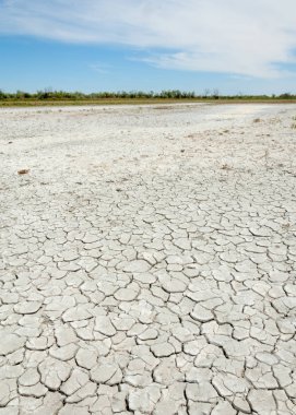 Bozkır tuzlu topraklar. tuz tuz tuz. Bozkır çayır veldt veld. Tuzlu toprak çöl, tuzlu Göller. cansız yanıp kavrulmuş dünyamız. Kazakistan çıplak bozkır