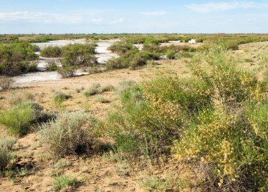 Bozkır tuzlu topraklar. tuz tuz tuz. Bozkır çayır veldt veld. Tuzlu toprak çöl, tuzlu Göller. cansız yanıp kavrulmuş dünyamız. Kazakistan çıplak bozkır