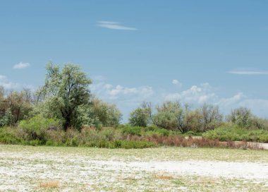Bozkır tuzlu topraklar. tuz tuz tuz. Bozkır çayır veldt veld. Tuzlu toprak çöl, tuzlu Göller. cansız yanıp kavrulmuş dünyamız. Kazakistan çıplak bozkır