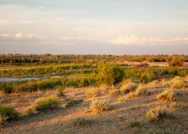 Güzel gökyüzü altında küçük bir göl. akşam olay yerinde bozkır, yatay, bozkır güzel yaz gün bataklıkta gölde. Göl sahnesinde yaz