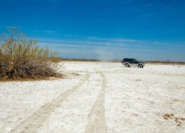 Saline, tuz bataklığı