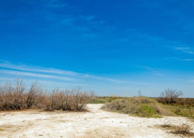 tuzlu su, tuz bataklığı. Etkin badlands. Tek çalı. Kazakistan