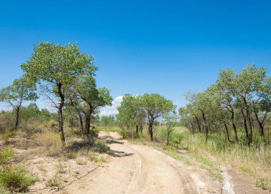 Bozkır yaz. Turgai Kaydet. Çölde Gölü
